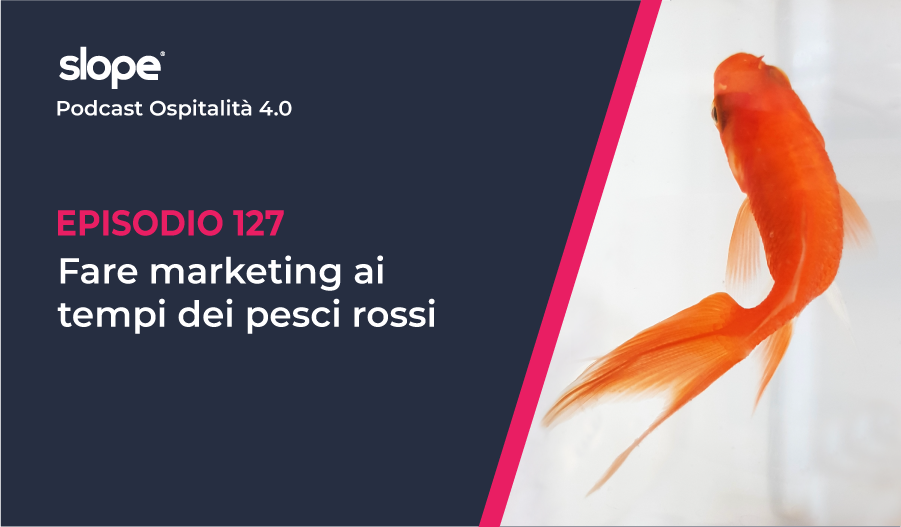 Fare Marketing ai tempi dei pesci rossi